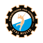 Logo drużyny